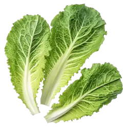 Imagen PNG para descargar